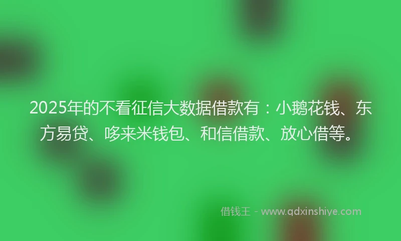 2025年的不看征信大数据借款有：小鹅花钱、东方易贷、哆来米钱包、和信借款、放心借等。