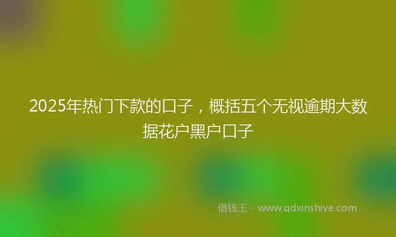 2025年热门下款的口子,概括五个无视逾期大数据花户黑户口子