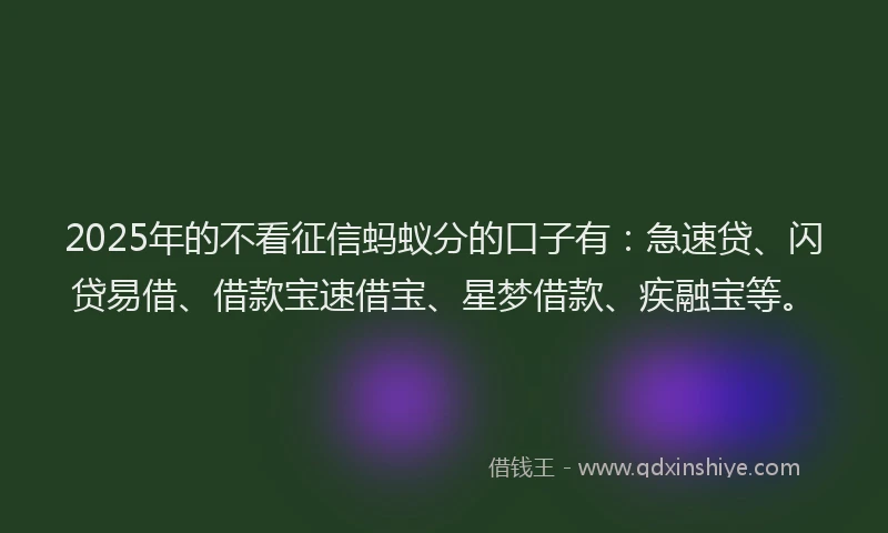 2025年的不看征信蚂蚁分的口子有：急速贷、闪贷易借、借款宝速借宝、星梦借款、疾融宝等。