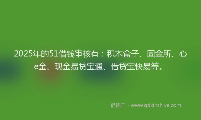 2025年的51借钱审核有：积木盒子、固金所、心e金、现金易贷宝通、借贷宝快易等。