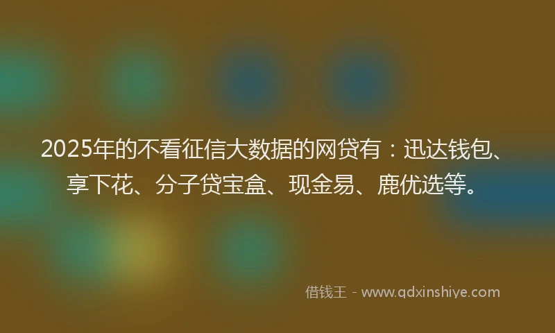 2025年的不看征信大数据的网贷有：迅达钱包、享下花、分子贷宝盒、现金易、鹿优选等。