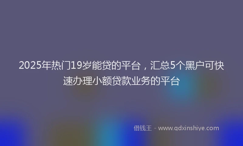 2025年热门19岁能贷的平台，汇总5个黑户可快速办理小额贷款业务的平台