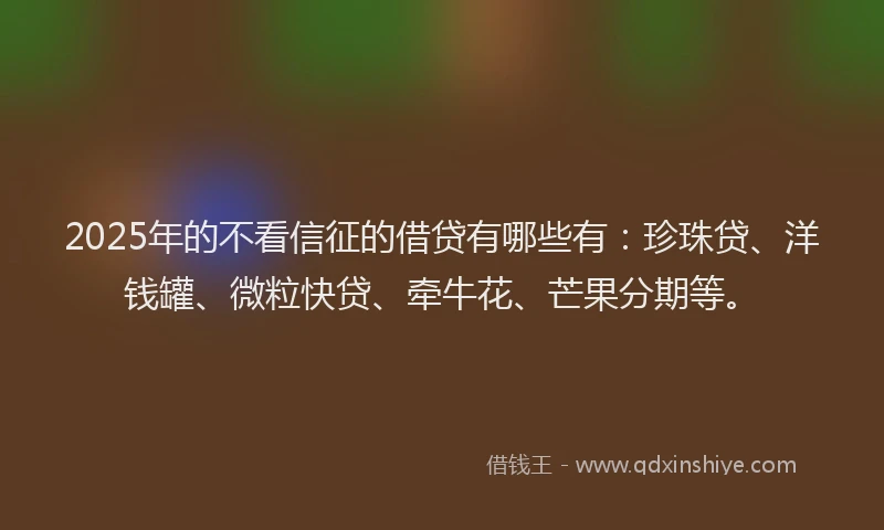 2025年的不看信征的借贷有哪些有：珍珠贷、洋钱罐、微粒快贷、牵牛花、芒果分期等。