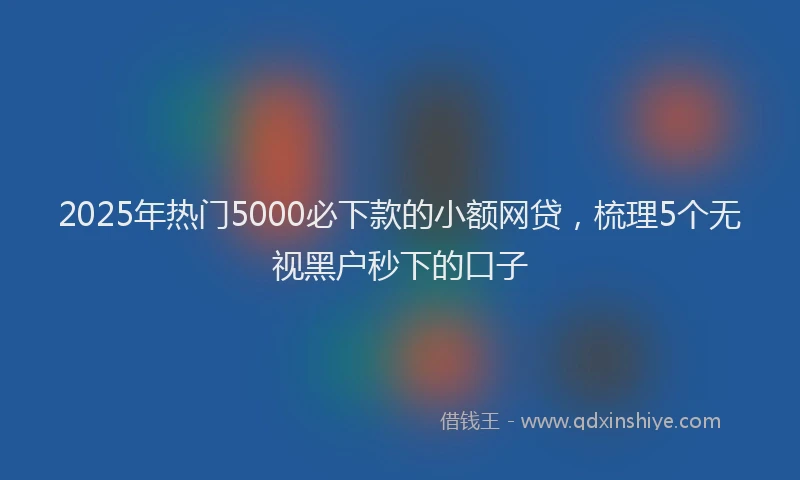 2025年热门5000必下款的小额网贷，梳理5个无视黑户秒下的口子