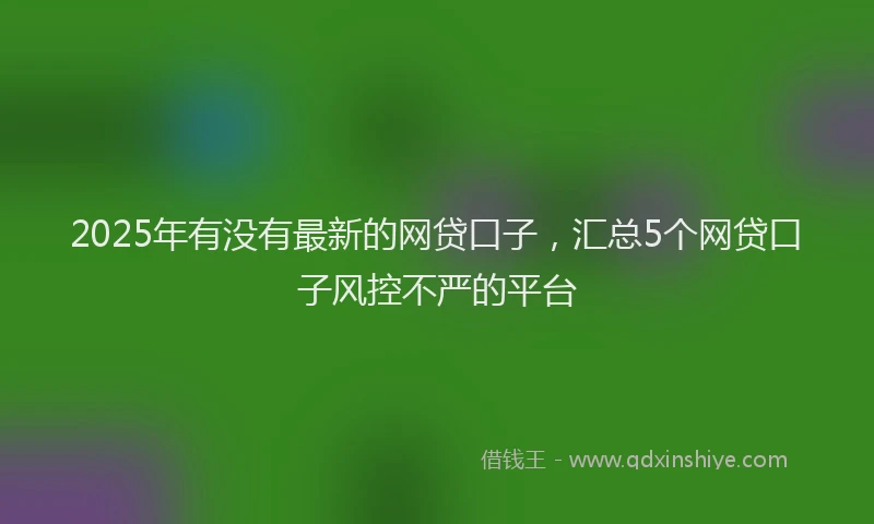 2025年有没有最新的网贷口子，汇总5个网贷口子风控不严的平台