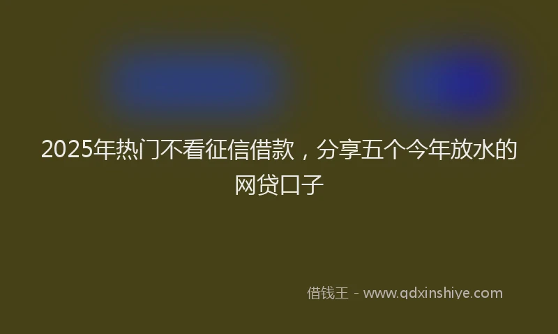 2025年热门不看征信借款，分享五个今年放水的网贷口子
