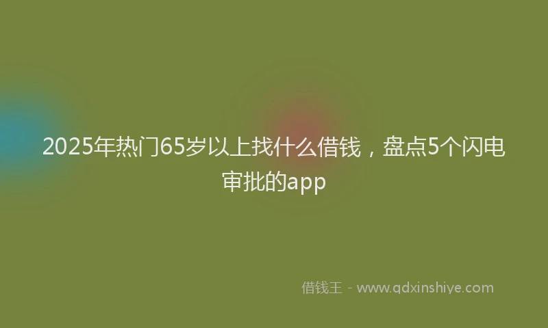 2025年热门65岁以上找什么借钱，盘点5个闪电审批的app