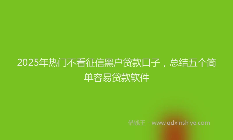 2025年热门不看征信黑户贷款口子，总结五个简单容易贷款软件