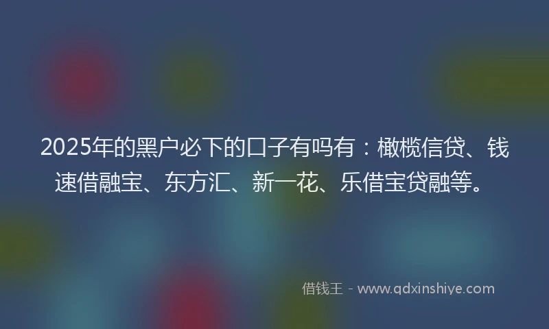 2025年的黑户必下的口子有吗有：橄榄信贷、钱速借融宝、东方汇、新一花、乐借宝贷融等。