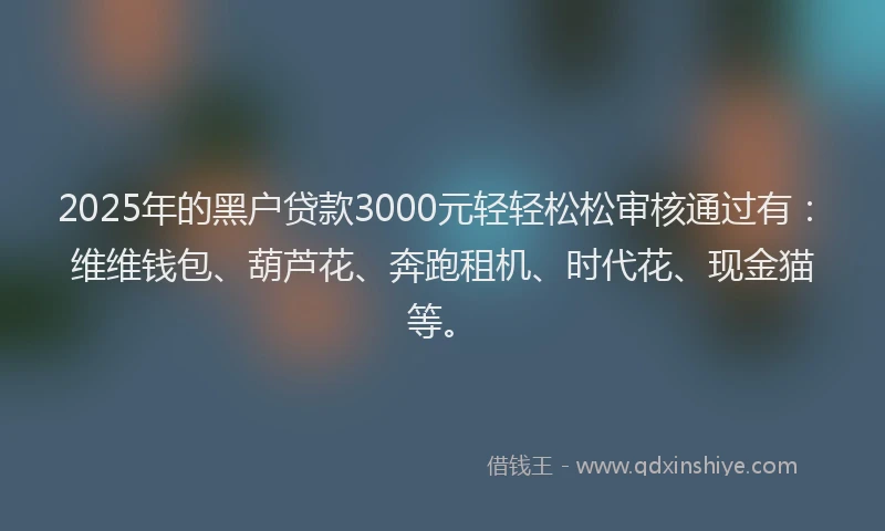 2025年的黑户贷款3000元轻轻松松审核通过有：维维钱包、葫芦花、奔跑租机、时代花、现金猫等。