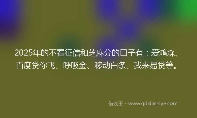 2025年的不看征信和芝麻分的口子有：爱鸿森、百度贷你飞、呼吸金、移动白条、我来易贷等。