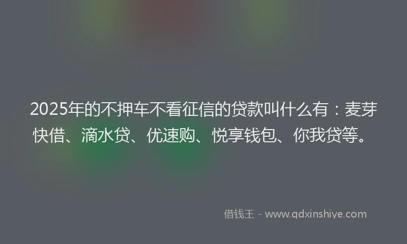 2025年的不押车不看征信的贷款叫什么有:麦芽快借、滴水贷、优速购、悦享钱包、你我贷等。