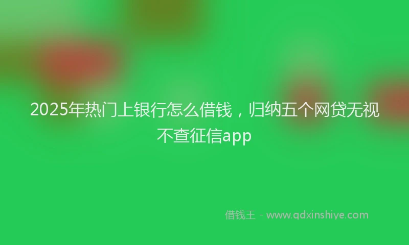 2025年热门上银行怎么借钱，归纳五个网贷无视不查征信app
