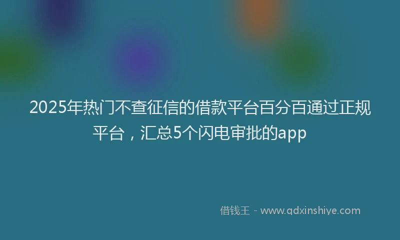 2025年热门不查征信的借款平台百分百通过正规平台，汇总5个闪电审批的app