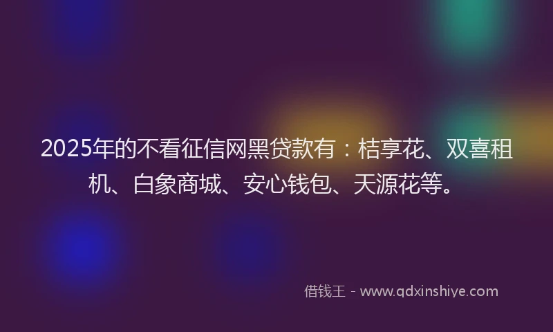 2025年的不看征信网黑贷款有：桔享花、双喜租机、白象商城、安心钱包、天源花等。