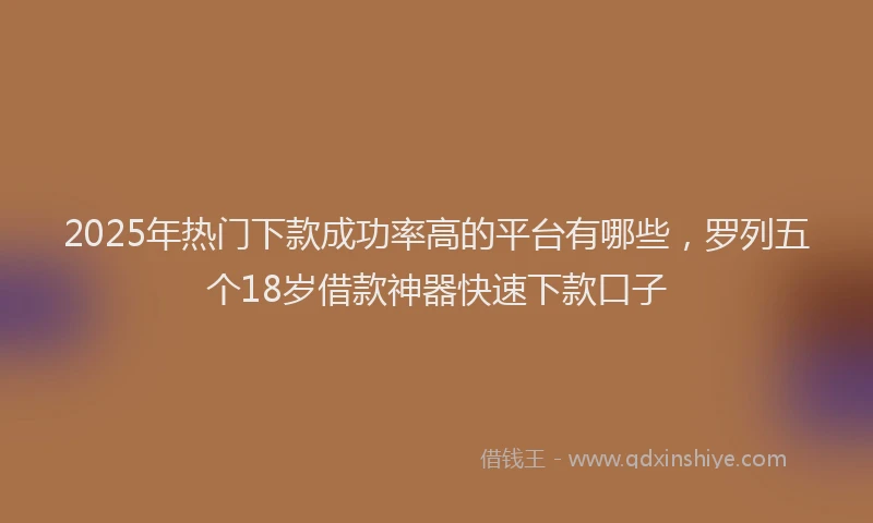 2025年热门下款成功率高的平台有哪些，罗列五个18岁借款神器快速下款口子