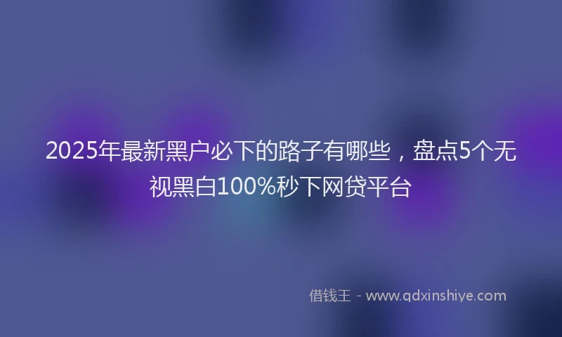 2025年最新黑户必下的路子有哪些，盘点5个无视黑白100%秒下网贷平台