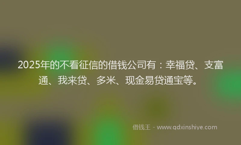 2025年的不看征信的借钱公司有：幸福贷、支富通、我来贷、多米、现金易贷通宝等。