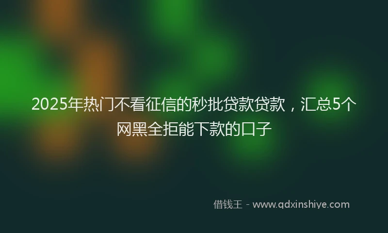 2025年热门不看征信的秒批贷款贷款，汇总5个网黑全拒能下款的口子