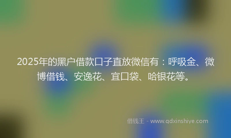 2025年的黑户借款口子直放微信有：呼吸金、微博借钱、安逸花、宜口袋、哈银花等。