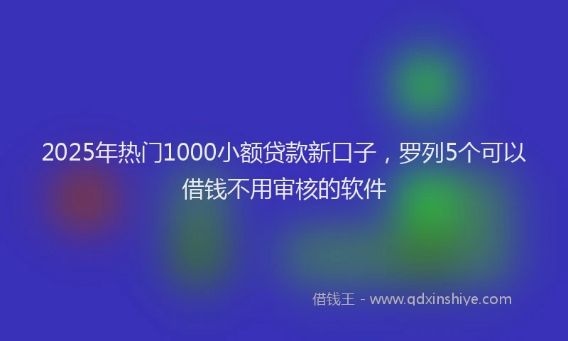 2025年热门1000小额贷款新口子，罗列5个可以借钱不用审核的软件
