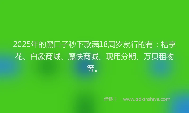 2025年的黑口子秒下款满18周岁就行的有：桔享花、白象商城、魔快商城、现用分期、万贝租物等。