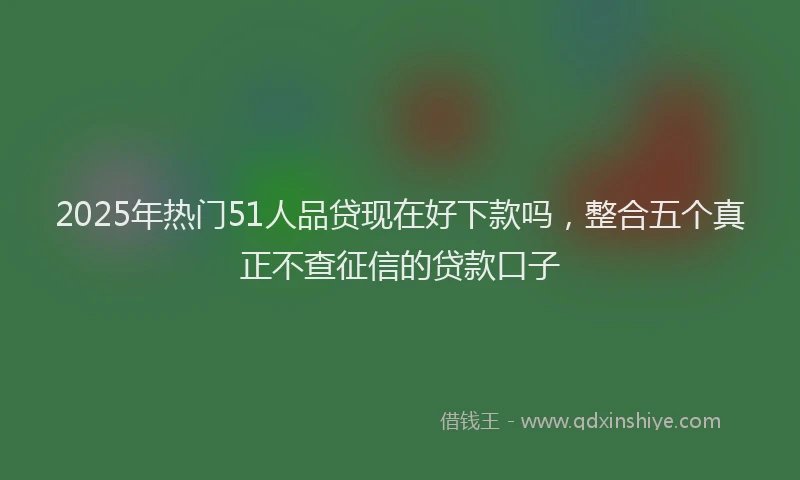 2025年热门51人品贷现在好下款吗，整合五个真正不查征信的贷款口子
