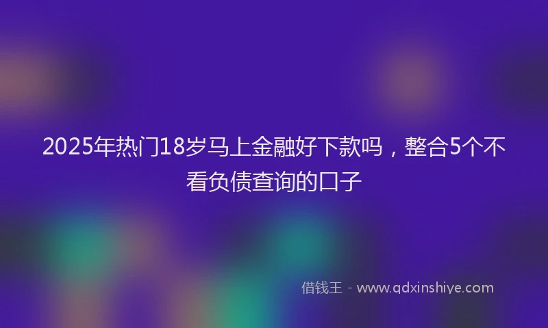 2025年热门18岁马上金融好下款吗，整合5个不看负债查询的口子