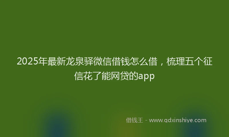 2025年最新龙泉驿微信借钱怎么借，梳理五个征信花了能网贷的app