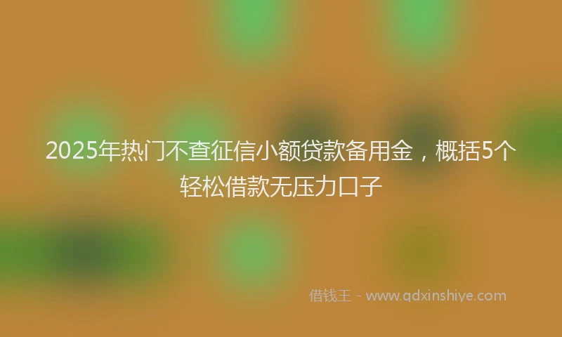 2025年热门不查征信小额贷款备用金，概括5个轻松借款无压力口子