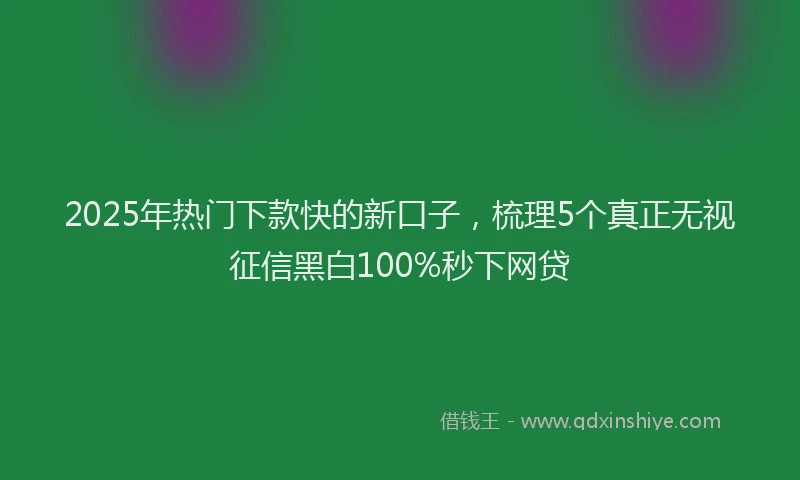 2025年热门下款快的新口子，梳理5个真正无视征信黑白100%秒下网贷