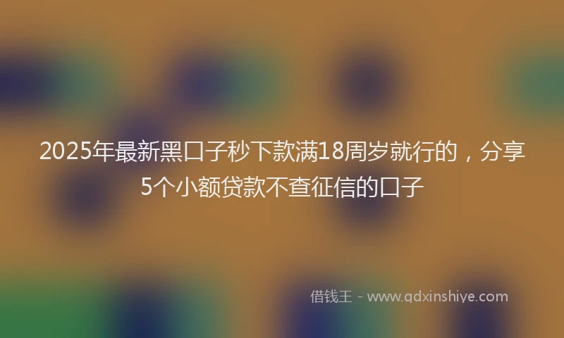 2025年最新黑口子秒下款满18周岁就行的，分享5个小额贷款不查征信的口子
