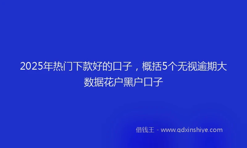 2025年热门下款好的口子，概括5个无视逾期大数据花户黑户口子