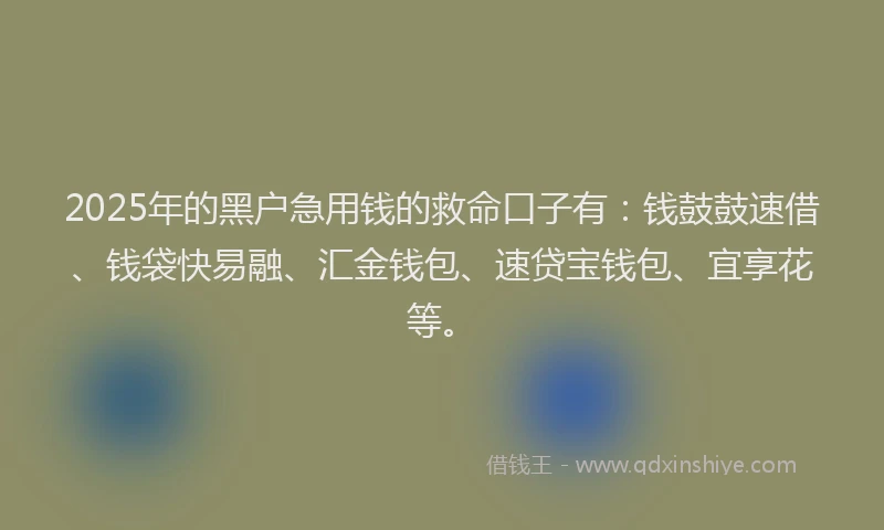 2025年的黑户急用钱的救命口子有：钱鼓鼓速借、钱袋快易融、汇金钱包、速贷宝钱包、宜享花等。