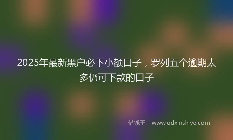2025年最新黑户必下小额口子，罗列五个逾期太多仍可下款的口子