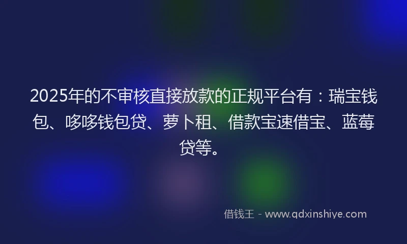2025年的不审核直接放款的正规平台有：瑞宝钱包、哆哆钱包贷、萝卜租、借款宝速借宝、蓝莓贷等。