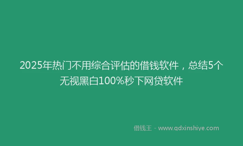 2025年热门不用综合评估的借钱软件，总结5个无视黑白100%秒下网贷软件