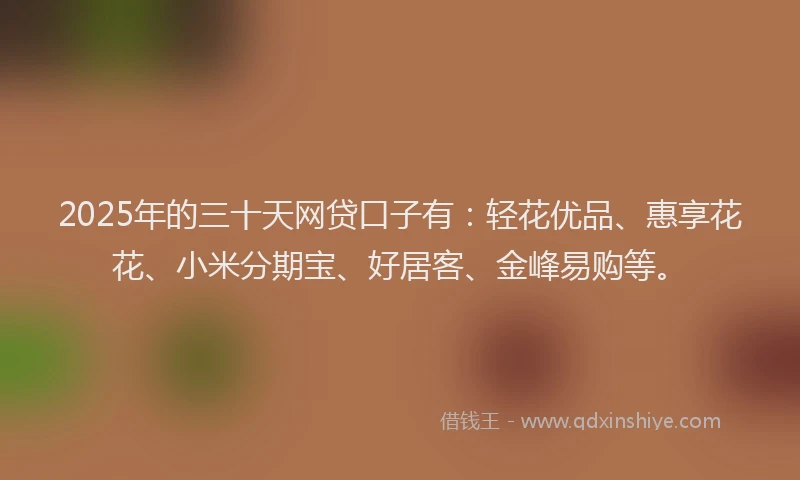 2025年的三十天网贷口子有：轻花优品、惠享花花、小米分期宝、好居客、金峰易购等。
