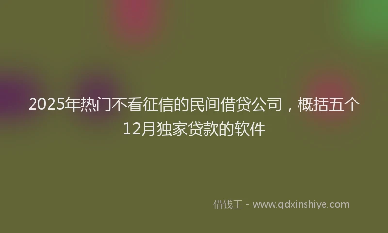 2025年热门不看征信的民间借贷公司，概括五个12月独家贷款的软件