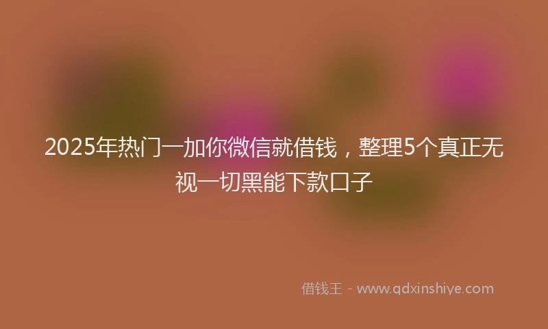 2025年热门一加你微信就借钱，整理5个真正无视一切黑能下款口子