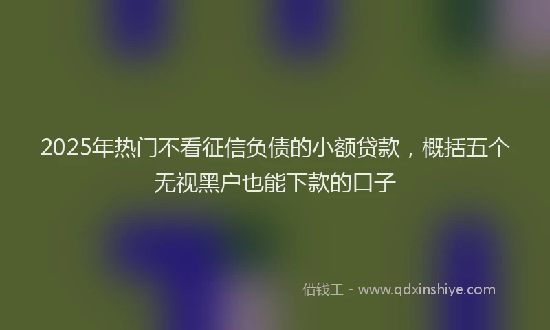 2025年热门不看征信负债的小额贷款，概括五个无视黑户也能下款的口子