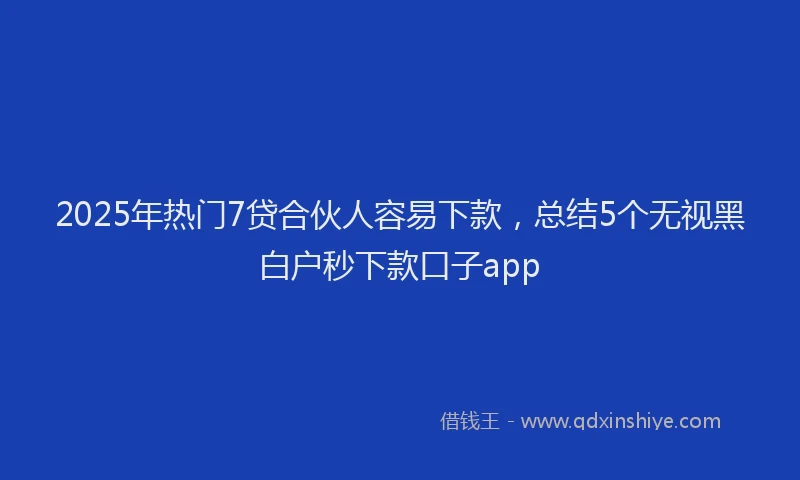 2025年热门7贷合伙人容易下款，总结5个无视黑白户秒下款口子app