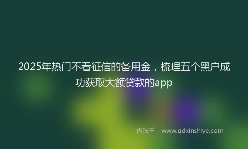 2025年热门不看征信的备用金，梳理五个黑户成功获取大额贷款的app