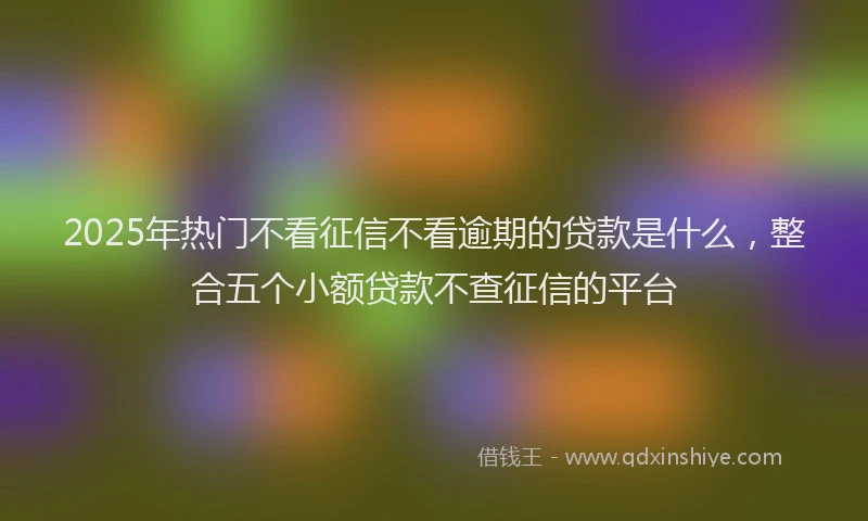 2025年热门不看征信不看逾期的贷款是什么,整合五个小额贷款不查征信的平台