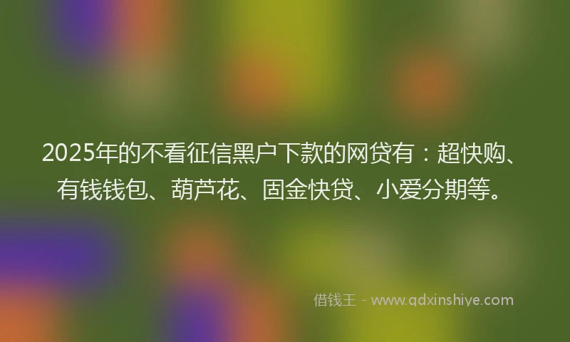 2025年的不看征信黑户下款的网贷有：超快购、有钱钱包、葫芦花、固金快贷、小爱分期等。