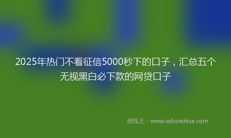 2025年热门不看征信5000秒下的口子，汇总五个无视黑白必下款的网贷口子