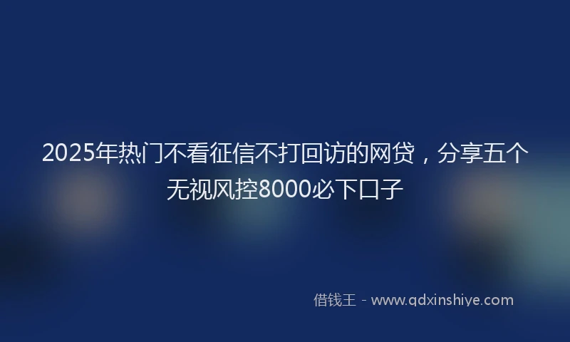 2025年热门不看征信不打回访的网贷，分享五个无视风控8000必下口子