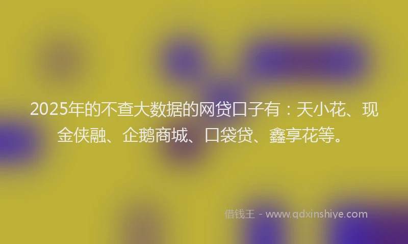2025年的不查大数据的网贷口子有：天小花、现金侠融、企鹅商城、口袋贷、鑫享花等。