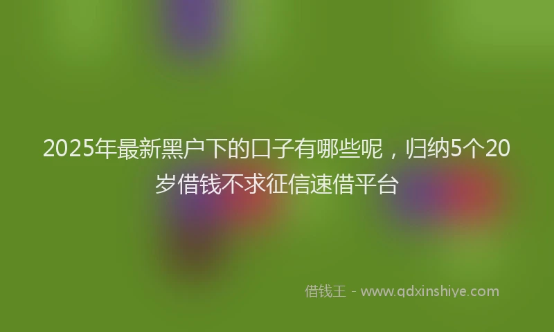 2025年最新黑户下的口子有哪些呢，归纳5个20岁借钱不求征信速借平台