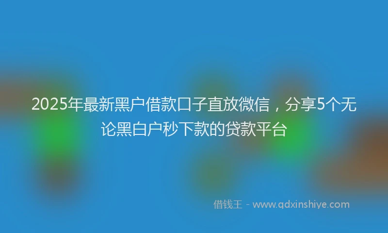 2025年最新黑户借款口子直放微信，分享5个无论黑白户秒下款的贷款平台